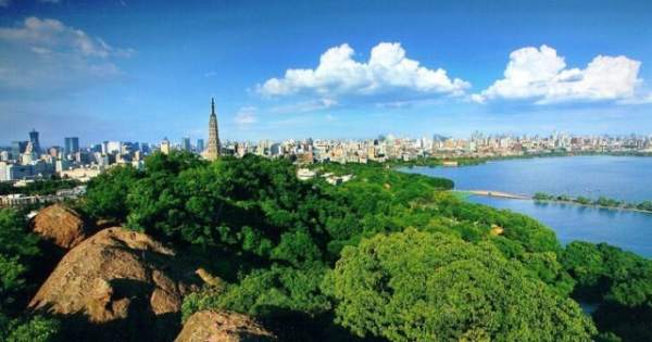 學習國外苗木行業經驗，搶先了解國內市場動態