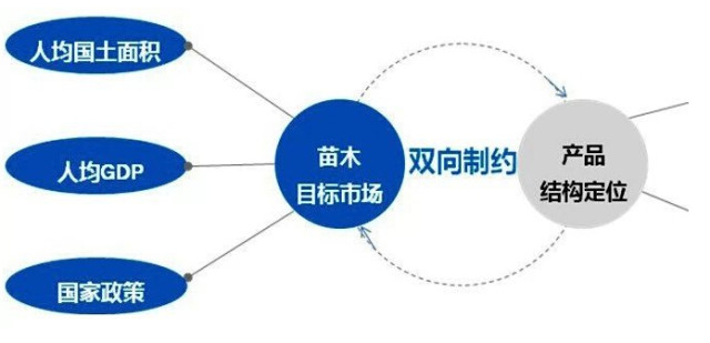 學習國外苗木行業經驗，搶先了解國內市場動態