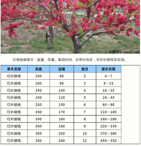 http://www.hljy9.com.cn/uploads/allimg/160910/11-16091015254M05.jpg