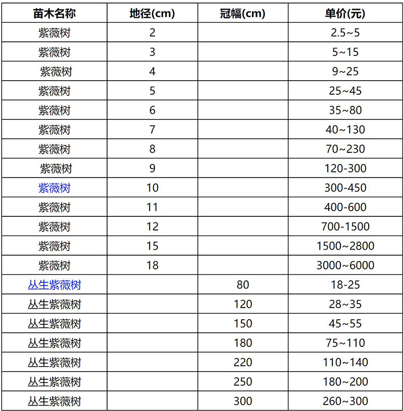 2022年紫薇樹最新價格表查詢