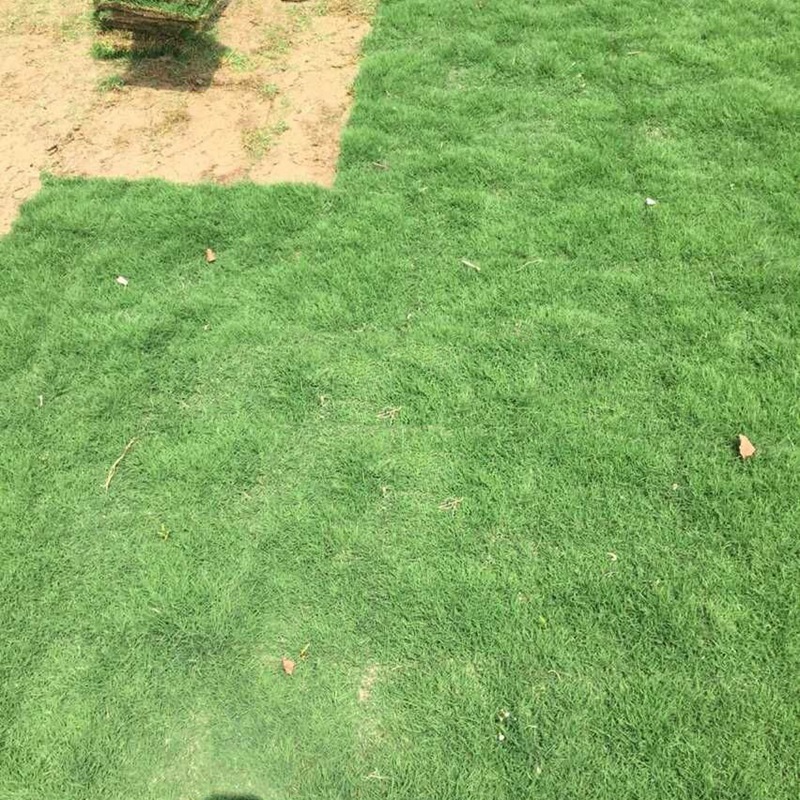 1646892729746345.jpg