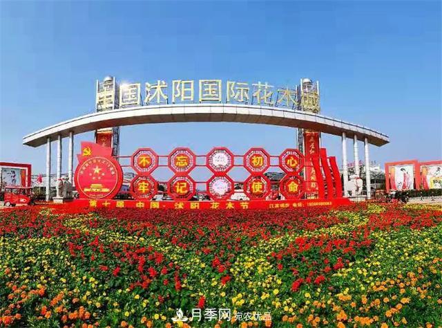 值得收藏！這些全國著名苗木產地你知道幾個？