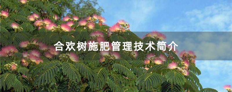 合歡樹施肥管理技術簡介 合歡樹施肥管理技術簡介