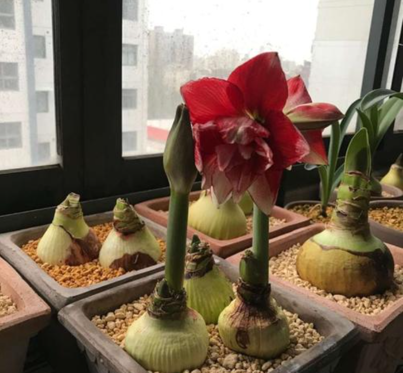 微信圖片_20230115193529.png