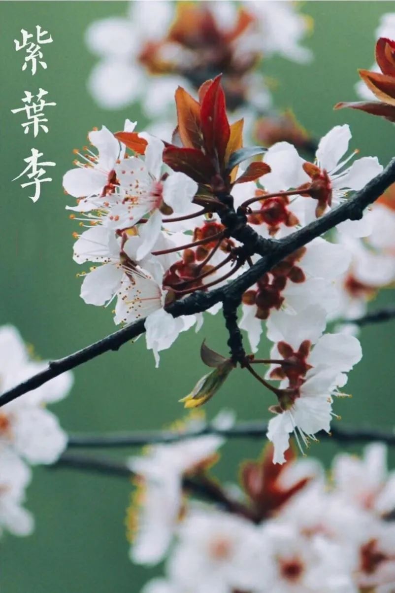 微信圖片_20230107162506.jpg