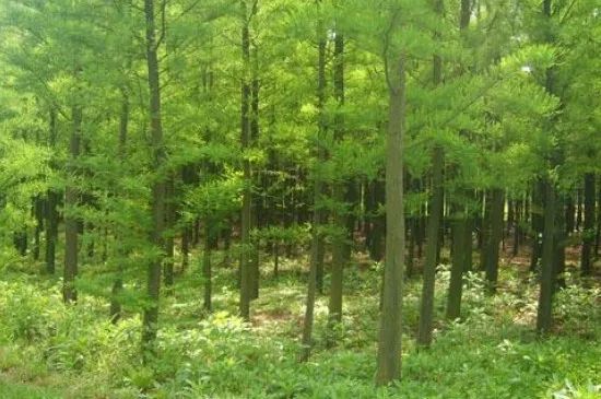 微信圖片_20230201052041.jpg