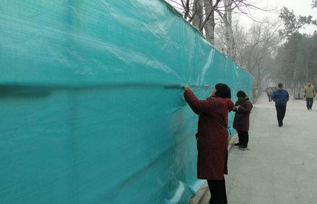 雪松冬季保暖5.jpg