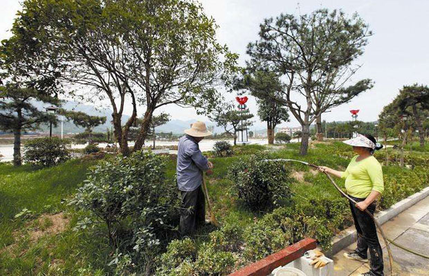 栽植樹木2.jpg